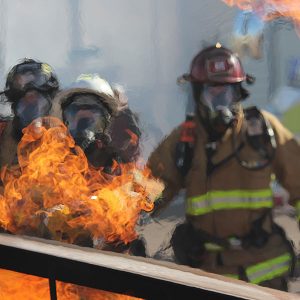 brigadas de emergencia